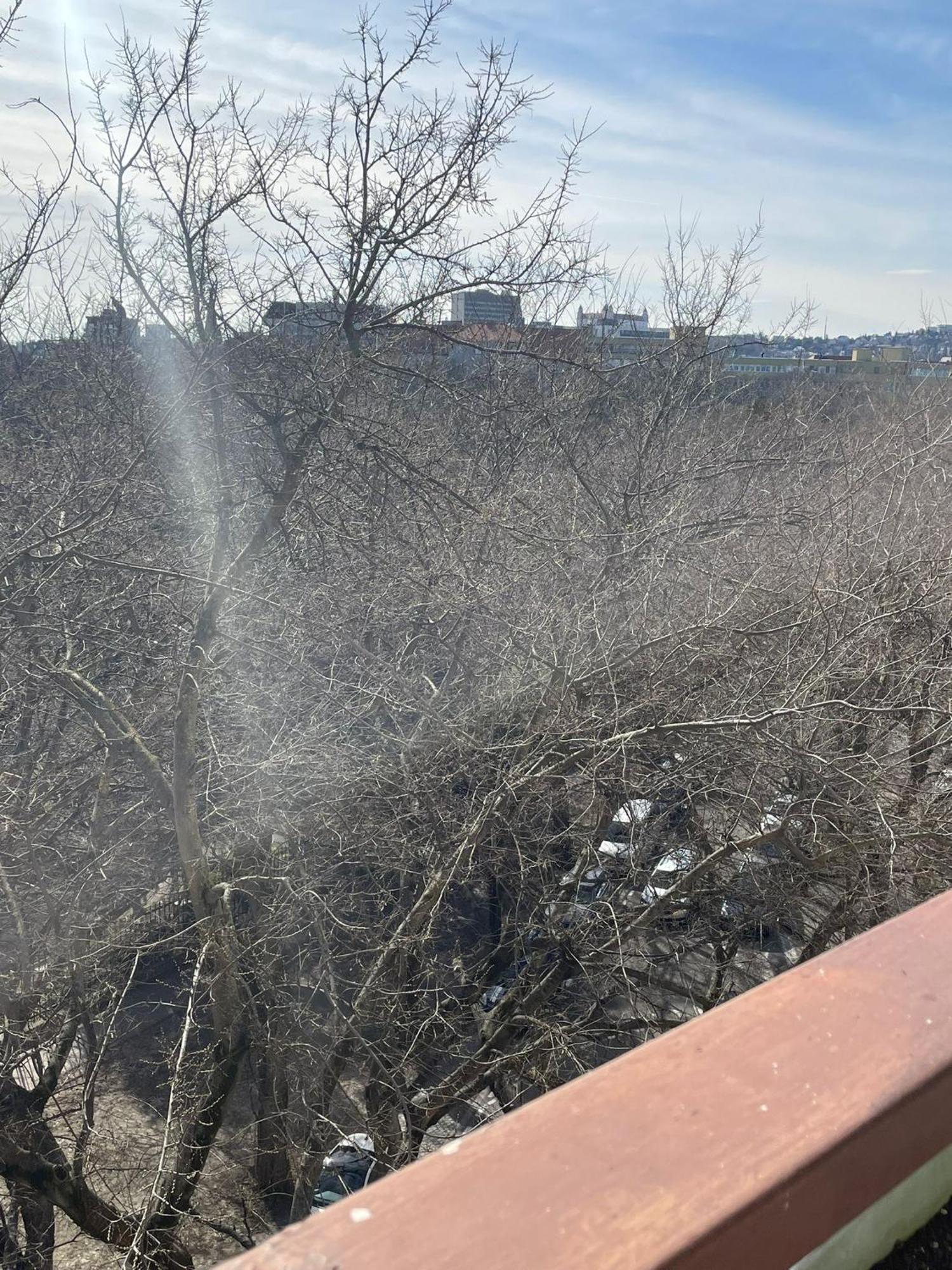 Park View City Center Location Apartment With Balcony Bratislava Bagian luar foto
